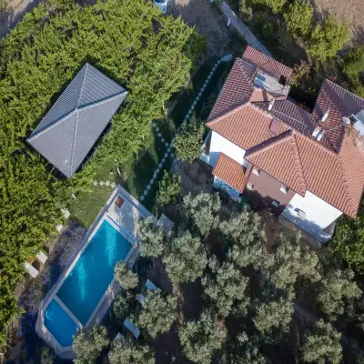Grape Datça