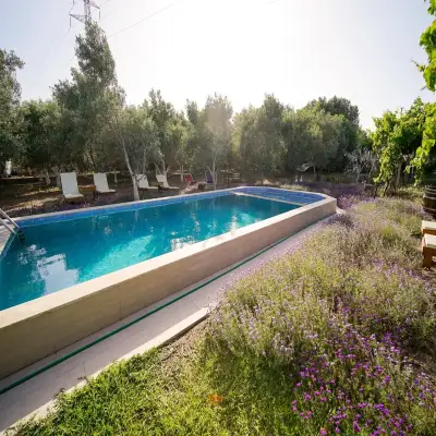 Grape Datça