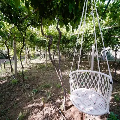 Grape Datça
