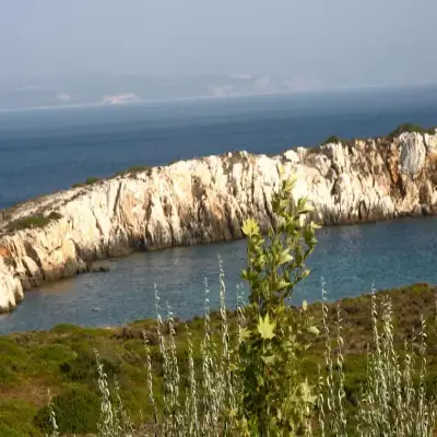 Akvaryum Otel