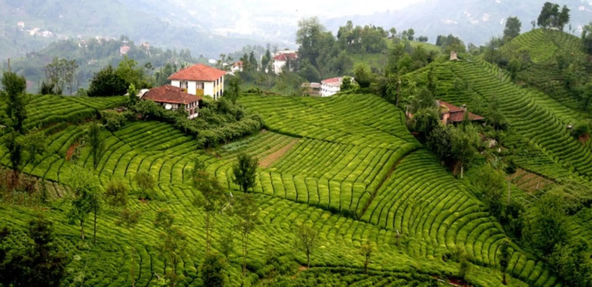 Karadeniz Bölgesi'nin en iyi 10 oteli