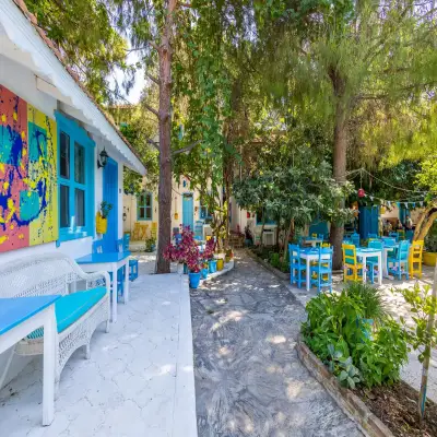 Jenny's House