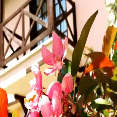 Vonresort
