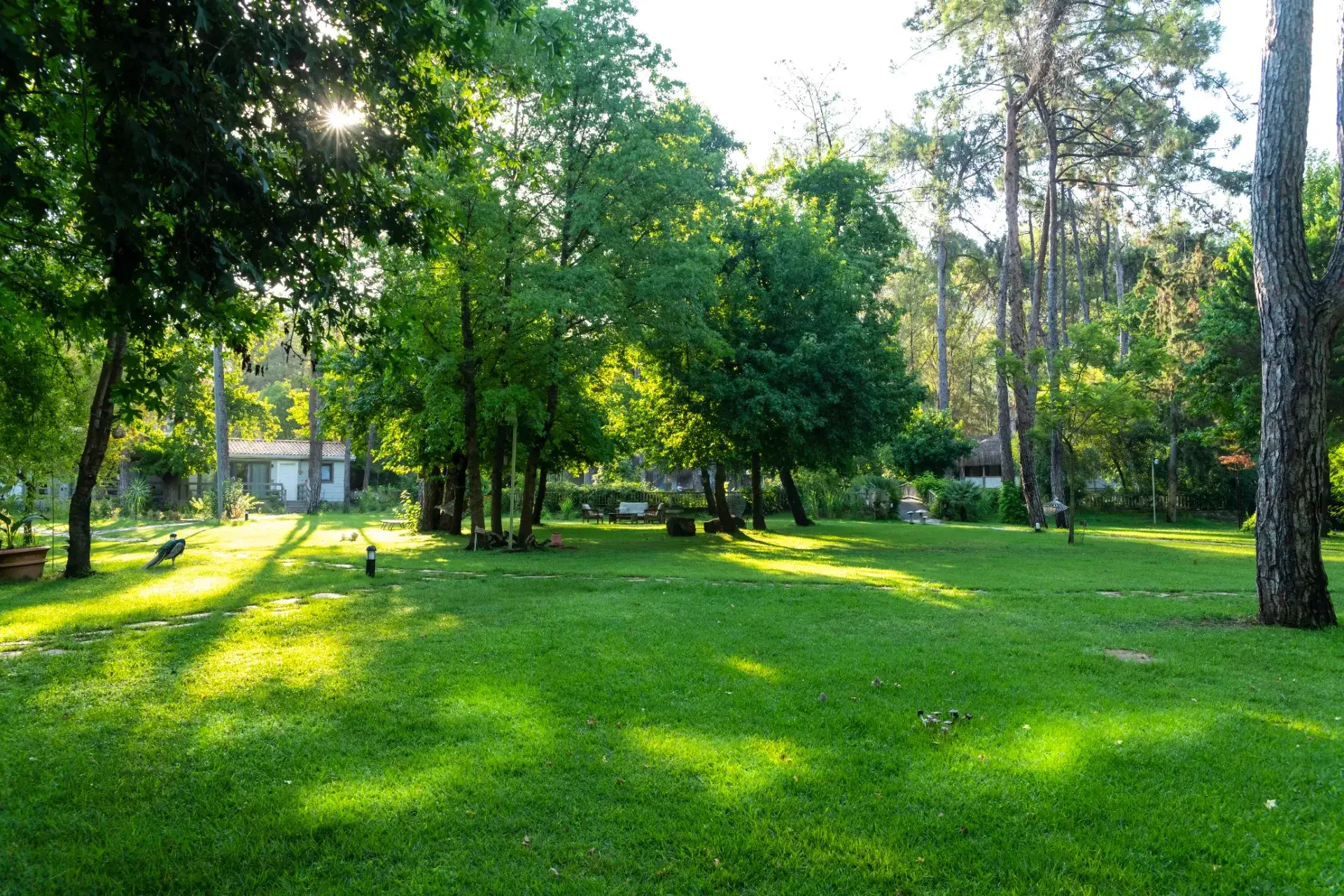 Gözlem Evi