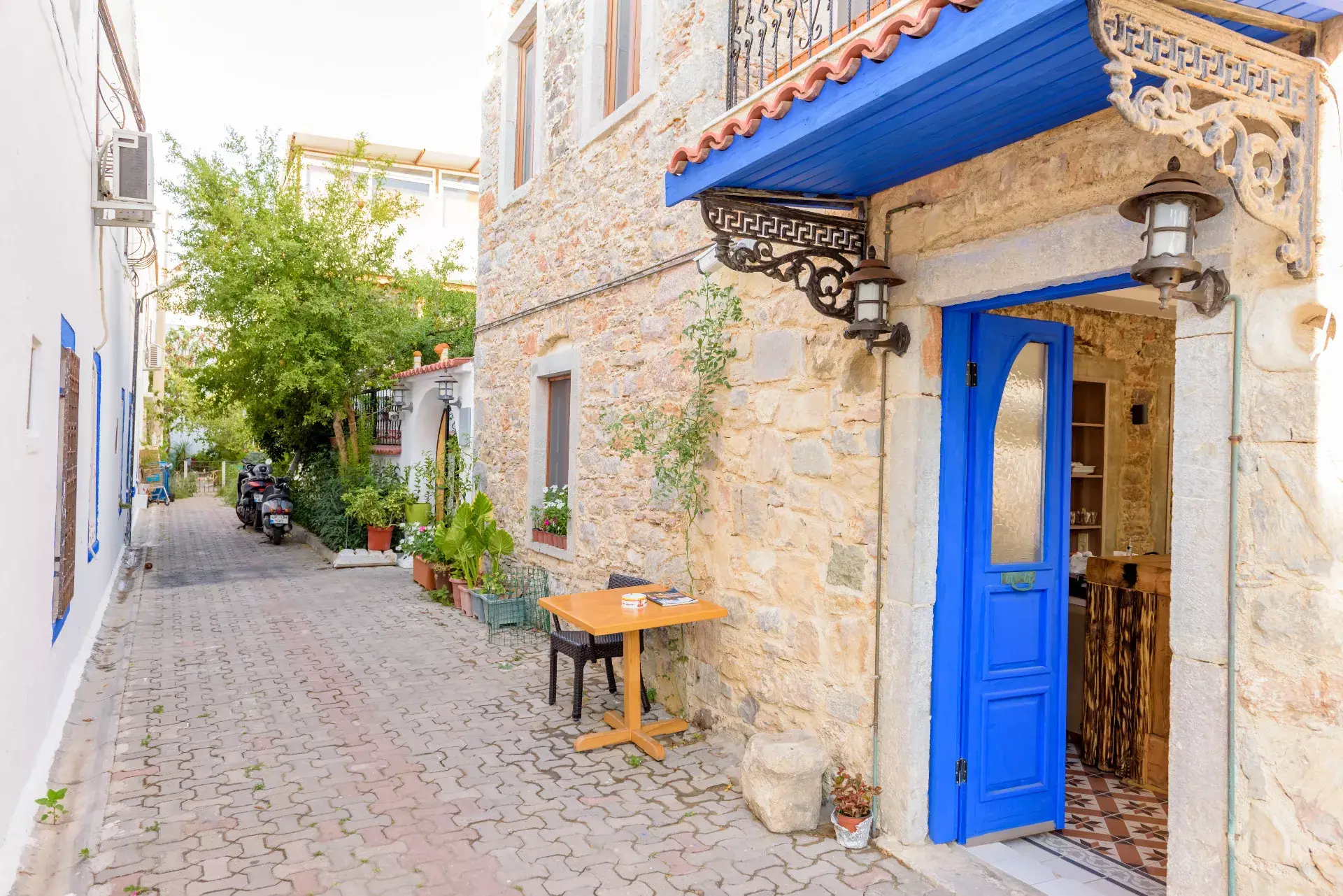 Muğla'dan Ne Alınır