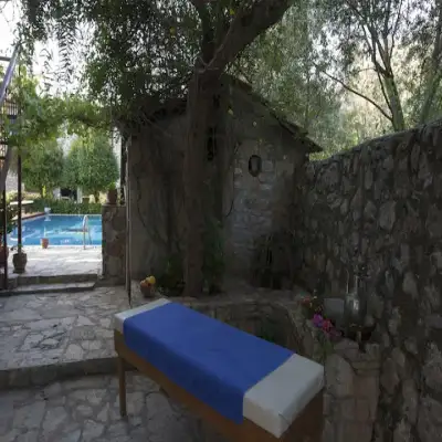 Mandarin & Mango Hotel,+12