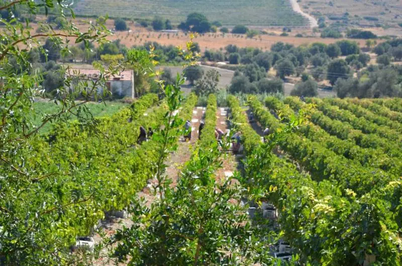 Çeşmenin Toscanası Ovacık