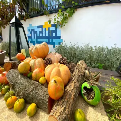 Maya Bistro Hotel Beach, Sığacık