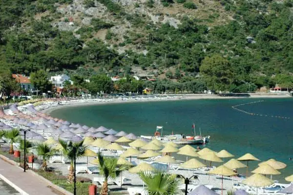 What to Buy in Koycegiz