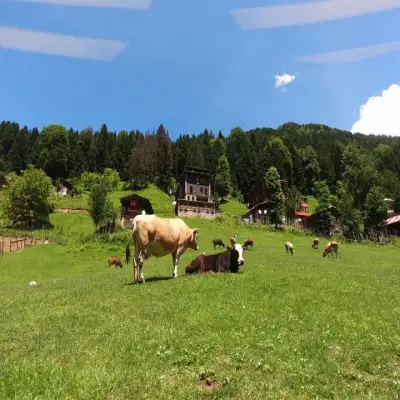 Ayder Villa de Pelit