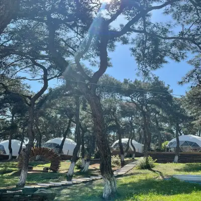 Büyükada Glamping