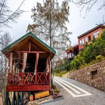 The Canyon Hotel & Resort