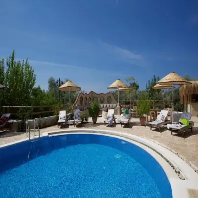 Mandarin & Mango Hotel,+12