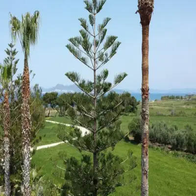 Blue Nest Hotel
