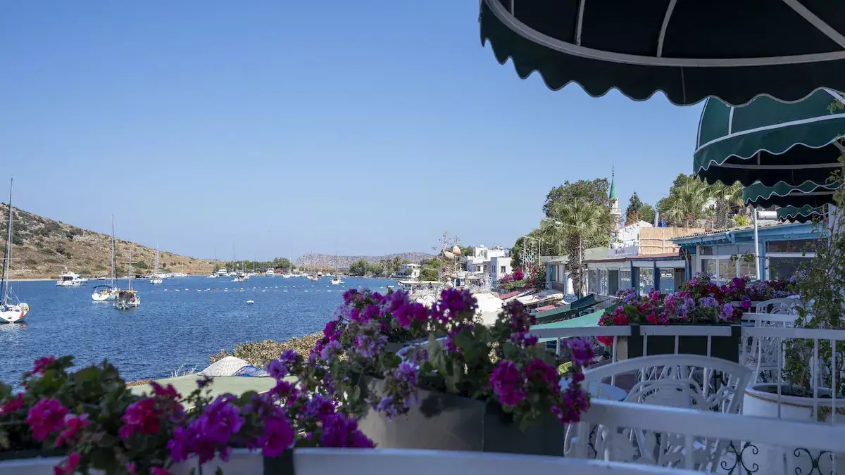 Liman Hotel, Yetişkin Oteli +15