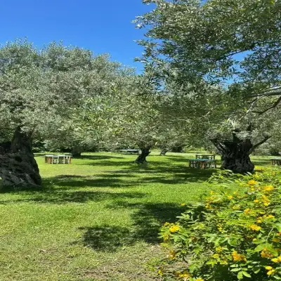 Emel Pension Güzelçamlı