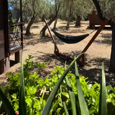 Assos Club Beyaz, +16 - Kadırga Koyu