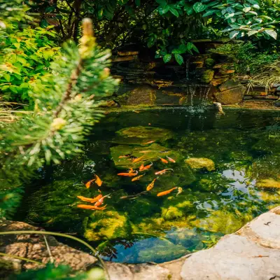 Çayır Çimen Hotel