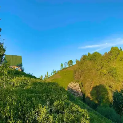 İnziva Bungalov, Ardeşen