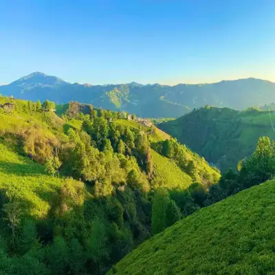İnziva Bungalov, Ardeşen