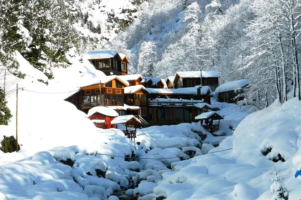 Elaşina Dağ ve Dere Manzaralı Bungalov