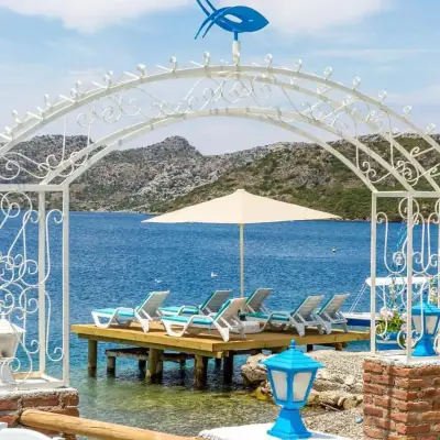 Söğüt Derin Mavi Suit, +16