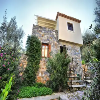 Gera's Olive Grove - Elaionas Lesvou
