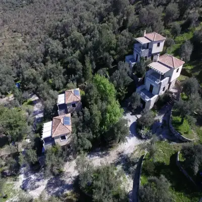 Gera's Olive Grove - Elaionas Lesvou