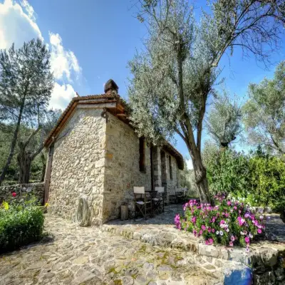 Gera's Olive Grove - Elaionas Lesvou