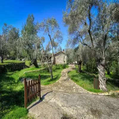 Gera's Olive Grove - Elaionas Lesvou