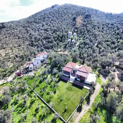 Gera's Olive Grove - Elaionas Lesvou