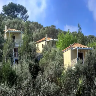 Gera's Olive Grove - Elaionas Lesvou