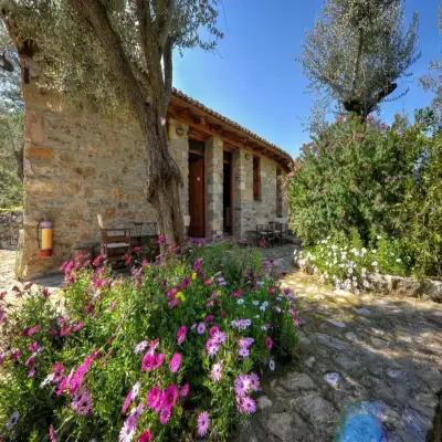 Gera's Olive Grove - Elaionas Lesvou