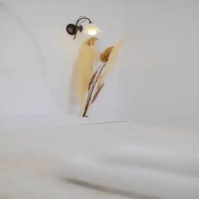Anemomilos
