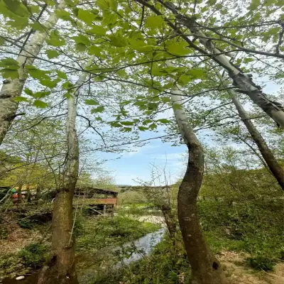 Bağdat Resort Otel - Kütük Evler