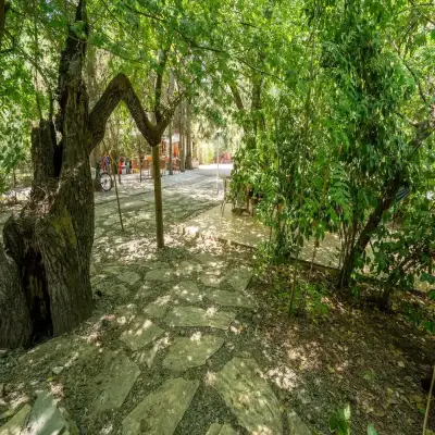 Club Amazon Glamping