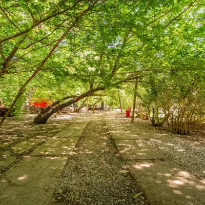 Club Amazon Glamping