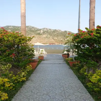Palmetto Resort Hotel
