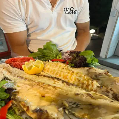 Elia