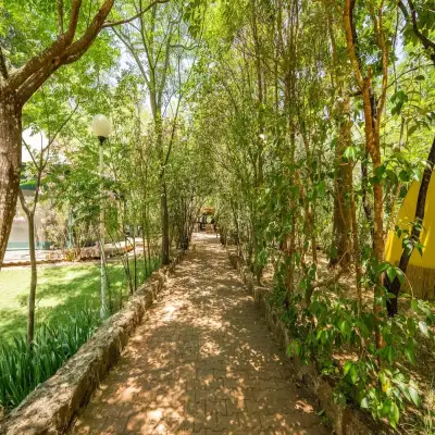 Club Amazon Glamping