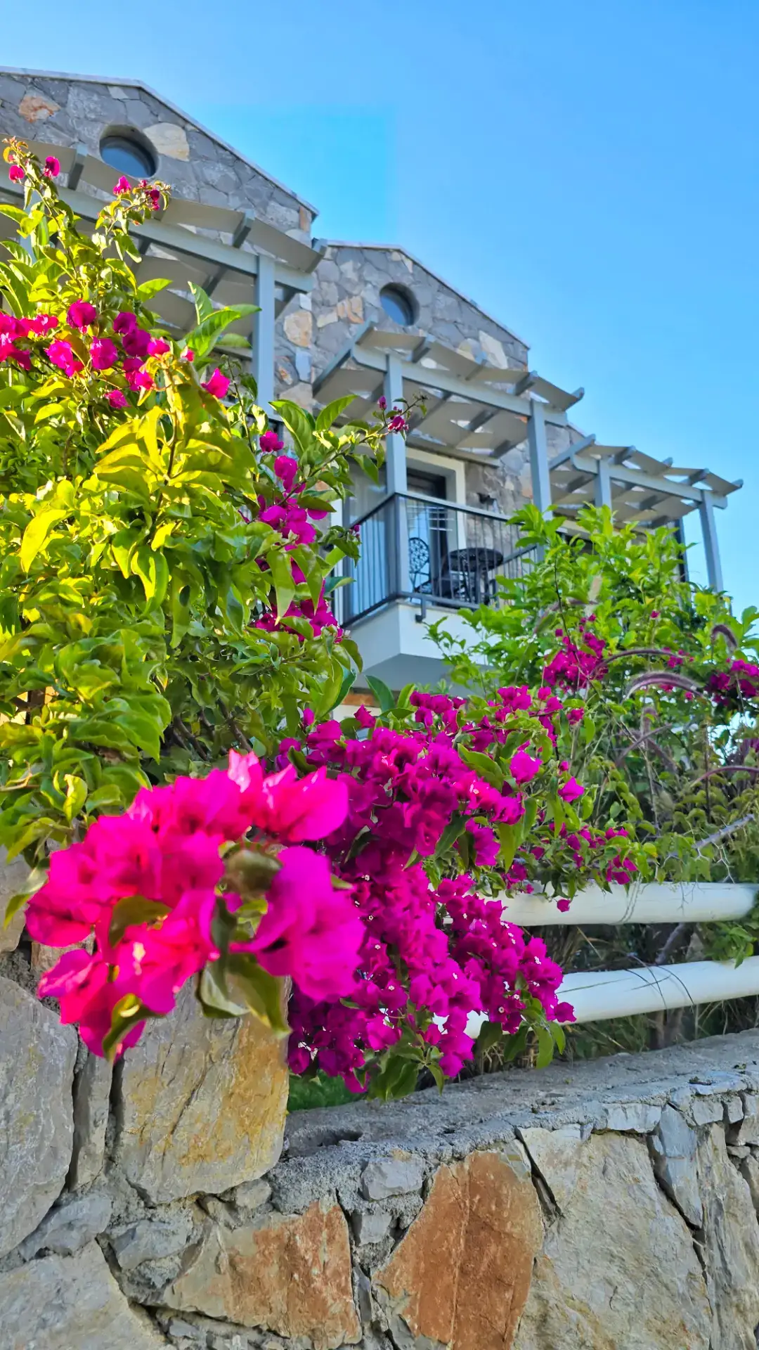 Venüs Otel