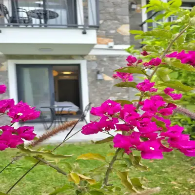 Venüs Otel