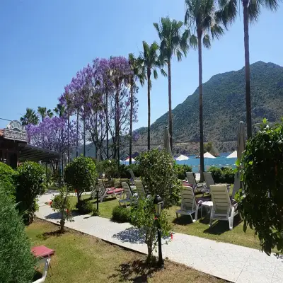 Palmetto Resort Hotel
