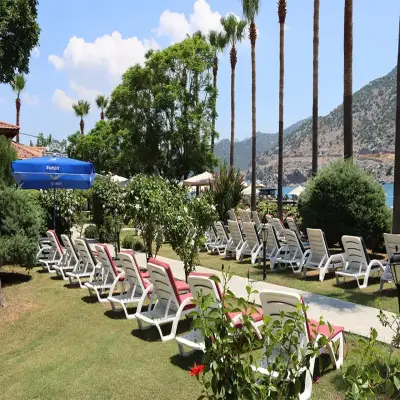 Palmetto Resort Hotel