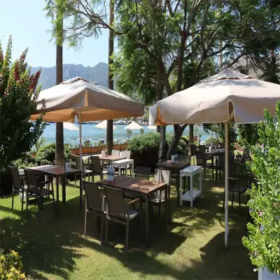 Palmetto Resort Hotel