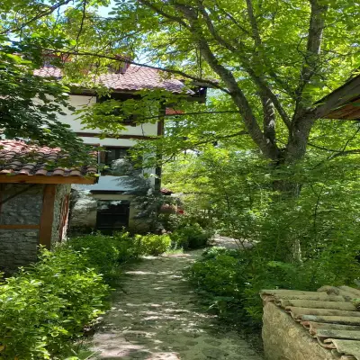 Yeşil Çizme Doğa Evi