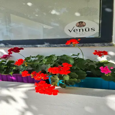Venüs Otel