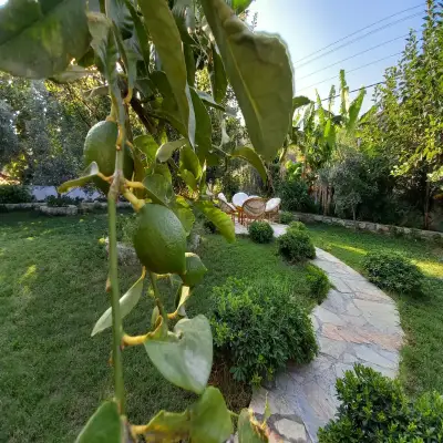Rüya Pansiyon