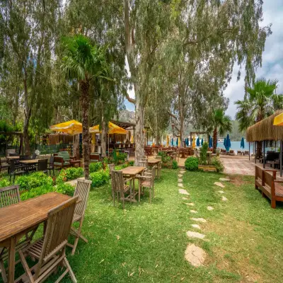 Olive Tree Bungalows