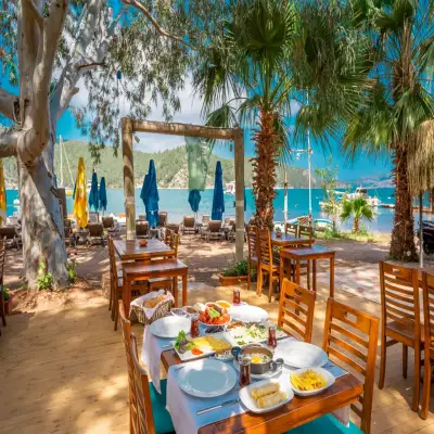 Olive Tree Bungalows